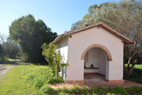 Villa a Cecina, Livorno, Cecina - € 680.000 | Ref: A9591MF093-1079715 - foto 9