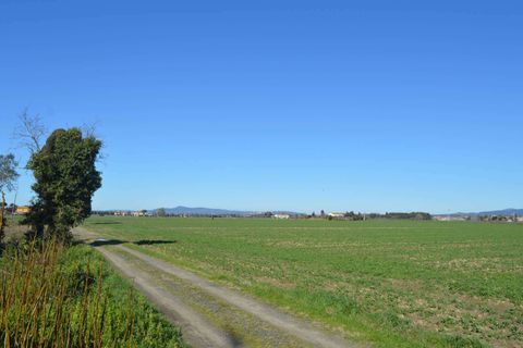 Villa a Cecina, Livorno, Cecina - € 680.000 | Ref: A9591MF093-1079715 - foto 24