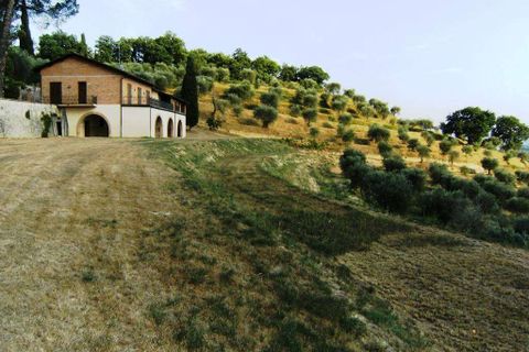 Farm hus i Cetona, Siena, Cetona - € 1.900.000 | Ref: A5153TA1847295A-1080261 - foto 13