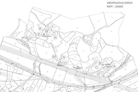 Farm hus i Cetona, Siena, Cetona - € 1.900.000 | Ref: A5153TA1847295A-1080261 - foto 16