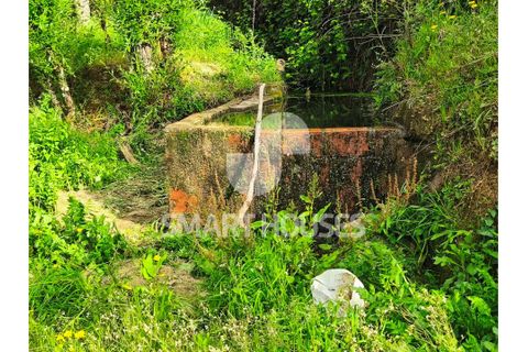 Farm i Tabua, Coimbra, Tabua - € 50.000 | Ref: SHEP323 - foto 15