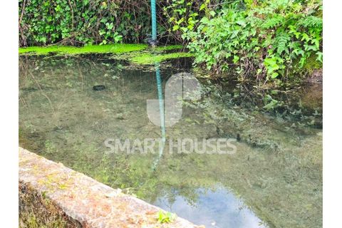 Farm i Tabua, Coimbra, Tabua - € 50.000 | Ref: SHEP323 - foto 16