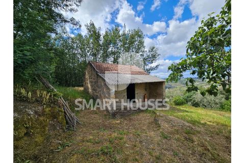 Farm i Tabua, Coimbra, Tabua - € 50.000 | Ref: SHEP323 - foto 1