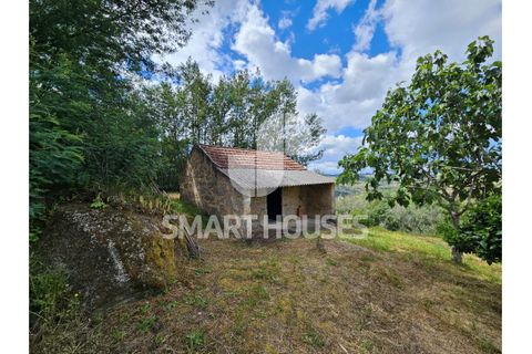 Farm i Tabua, Coimbra, Tabua - € 50.000 | Ref: SHEP323 - foto 2