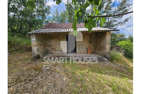 Farm i Tabua, Coimbra, Tabua - € 50.000 | Ref: SHEP323 - foto 3
