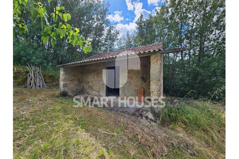 Farm i Tabua, Coimbra, Tabua - € 50.000 | Ref: SHEP323 - foto 4