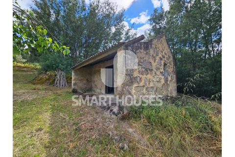 Farm i Tabua, Coimbra, Tabua - € 50.000 | Ref: SHEP323 - foto 5