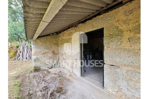 Farm i Tabua, Coimbra, Tabua - € 50.000 | Ref: SHEP323 - foto 6
