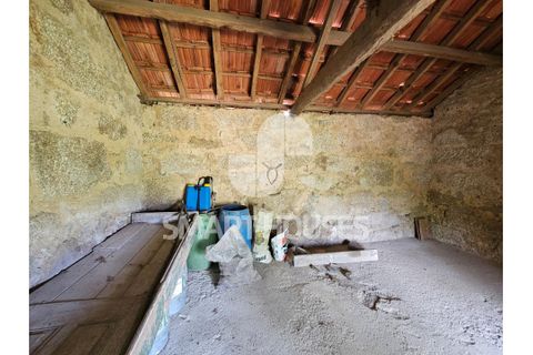Farm i Tabua, Coimbra, Tabua - € 50.000 | Ref: SHEP323 - foto 8