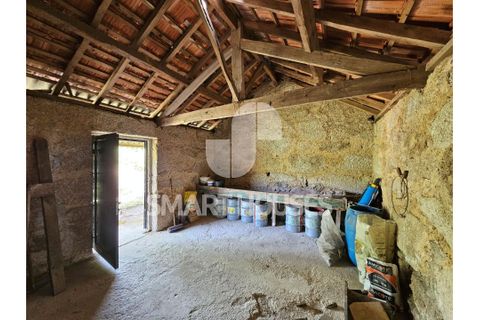Farm i Tabua, Coimbra, Tabua - € 50.000 | Ref: SHEP323 - foto 11