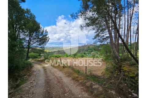 Farm i Tabua, Coimbra, Tabua - € 50.000 | Ref: SHEP323 - foto 14