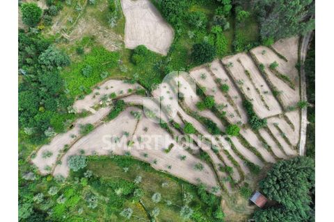 Farm i Tabua, Coimbra, Tabua - € 50.000 | Ref: SHEP323 - foto 17