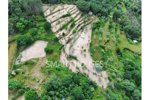 Farm i Tabua, Coimbra, Tabua - € 50.000 | Ref: SHEP323 - foto 18