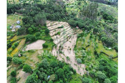 Farm i Tabua, Coimbra, Tabua - € 50.000 | Ref: SHEP323 - foto 19