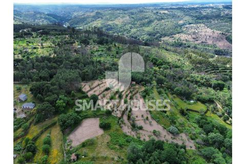 Farm i Tabua, Coimbra, Tabua - € 50.000 | Ref: SHEP323 - foto 20
