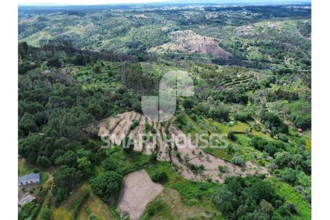 Farm i Tabua, Coimbra, Tabua - € 50.000 | Ref: SHEP323 - foto 21