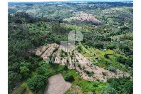 Farm i Tabua, Coimbra, Tabua - € 50.000 | Ref: SHEP323 - foto 22