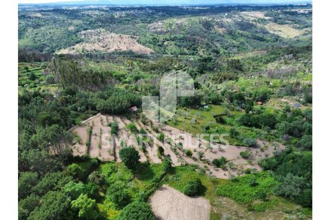 Farm i Tabua, Coimbra, Tabua - € 50.000 | Ref: SHEP323 - foto 23