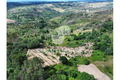 Farm i Tabua, Coimbra, Tabua - € 50.000 | Ref: SHEP323 - foto 24