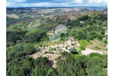 Farm i Tabua, Coimbra, Tabua - € 50.000 | Ref: SHEP323 - foto 25