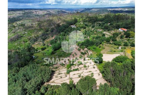 Farm i Tabua, Coimbra, Tabua - € 50.000 | Ref: SHEP323 - foto 26
