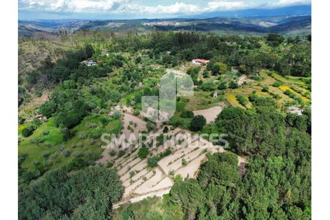 Farm i Tabua, Coimbra, Tabua - € 50.000 | Ref: SHEP323 - foto 27