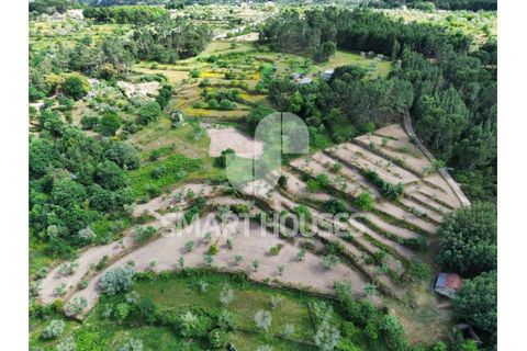 Farm i Tabua, Coimbra, Tabua - € 50.000 | Ref: SHEP323 - foto 29