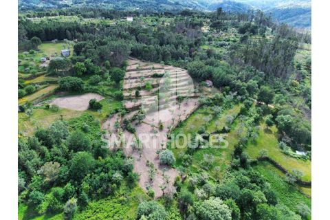 Farm i Tabua, Coimbra, Tabua - € 50.000 | Ref: SHEP323 - foto 30