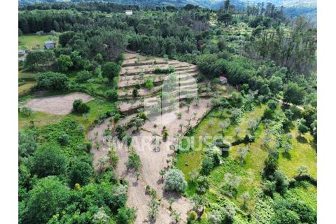 Farm i Tabua, Coimbra, Tabua - € 50.000 | Ref: SHEP323 - foto 31