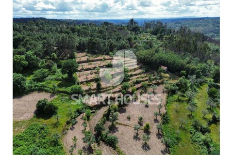 Farm i Tabua, Coimbra, Tabua - € 50.000 | Ref: SHEP323 - foto 33