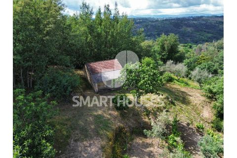 Farm i Tabua, Coimbra, Tabua - € 50.000 | Ref: SHEP323 - foto 38