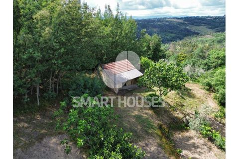 Farm i Tabua, Coimbra, Tabua - € 50.000 | Ref: SHEP323 - foto 39