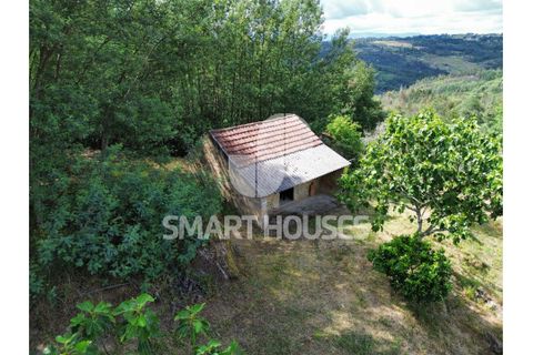 Farm i Tabua, Coimbra, Tabua - € 50.000 | Ref: SHEP323 - foto 40