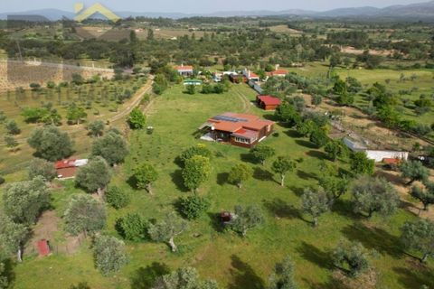 Farm i Castelo Branco, Castelo Branco, Castelo Branco - € 165.000 | Ref: 5041 - foto 1