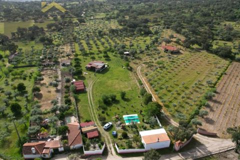 Farm i Castelo Branco, Castelo Branco, Castelo Branco - € 165.000 | Ref: 5041 - foto 2