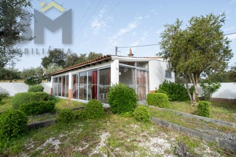 Farm i Castelo Branco, Castelo Branco, Castelo Branco - € 165.000 | Ref: 5041 - foto 3