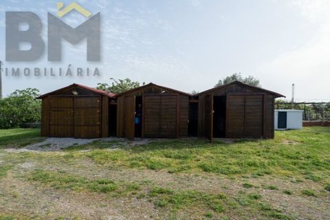 Farm i Castelo Branco, Castelo Branco, Castelo Branco - € 165.000 | Ref: 5041 - foto 11