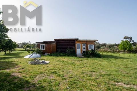 Farm i Castelo Branco, Castelo Branco, Castelo Branco - € 165.000 | Ref: 5041 - foto 12
