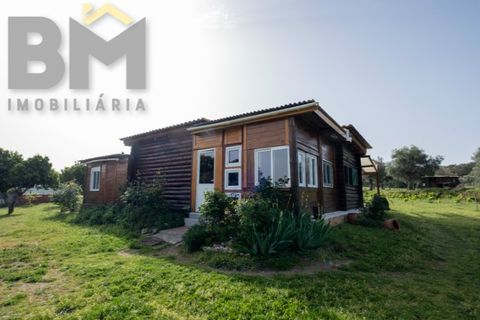 Farm i Castelo Branco, Castelo Branco, Castelo Branco - € 165.000 | Ref: 5041 - foto 13