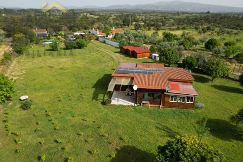 Farm i Castelo Branco, Castelo Branco, Castelo Branco - € 165.000 | Ref: 5041 - foto 31