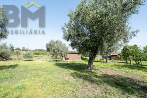 Farm i Castelo Branco, Castelo Branco, Castelo Branco - € 165.000 | Ref: 5041 - foto 33