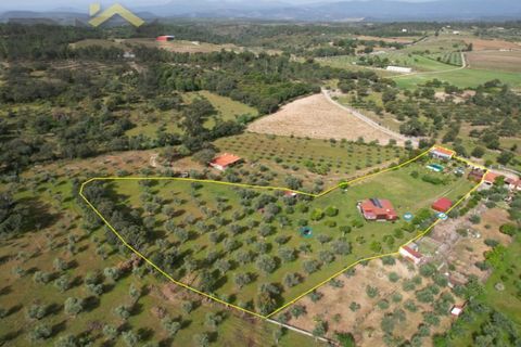 Farm i Castelo Branco, Castelo Branco, Castelo Branco - € 165.000 | Ref: 5041 - foto 35