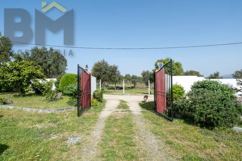 Farm i Castelo Branco, Castelo Branco, Castelo Branco - € 165.000 | Ref: 5041 - foto 36