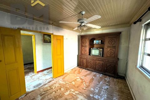 Villa i Barroca, Castelo Branco, Barroca - € 52.500 | Ref: 5038 - foto 4