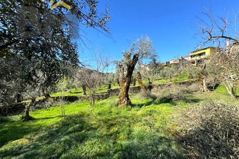 Villa i Barroca, Castelo Branco, Barroca - € 52.500 | Ref: 5038 - foto 20