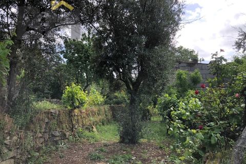 Villa i Barroca, Castelo Branco, Barroca - € 52.500 | Ref: 5038 - foto 21