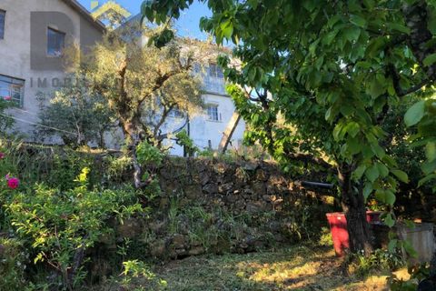 Villa i Barroca, Castelo Branco, Barroca - € 52.500 | Ref: 5038 - foto 22