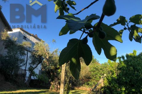 Villa i Barroca, Castelo Branco, Barroca - € 52.500 | Ref: 5038 - foto 23