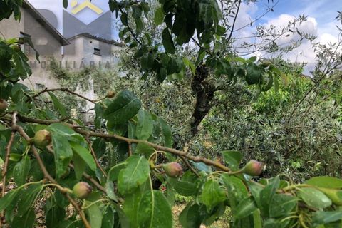 Villa i Barroca, Castelo Branco, Barroca - € 52.500 | Ref: 5038 - foto 24