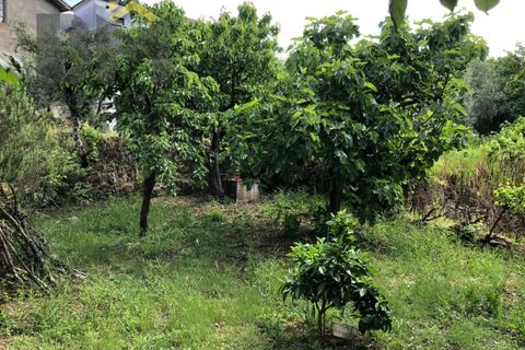 Villa i Barroca, Castelo Branco, Barroca - € 52.500 | Ref: 5038 - foto 25